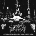 LPBelphegor / Necrodaemon Terrorsathan / Reedice 2020 / Vinyl