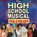 CD/DVDOST / High School Musical / Concert / CD+DVD