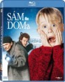 Blu-RayBlu-ray film /  Sm doma / Home Alone / Blu-Ray