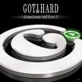 2CDGotthard / Domino Effect / Limited / Tour Edit. / 2CD