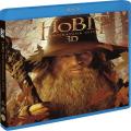3D Blu-RayBlu-ray film /  Hobit:Neoekvan cesta / 3D+2D+Bonus Disc / 4Blu-Ray