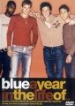DVDBlue / Years In The Life Of Blue