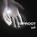 LPTaproot / Gift / Vinyl