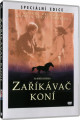 DVDFILM / Zakva kon / Horse Whisperer
