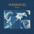 LPTindersticks / Distractions / Vinyl