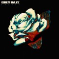 LPGrey Daze / Amends / Vinyl