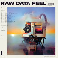 LPEverything Everything / Raw Data Feel / Clear / Vinyl