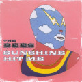 CDBees / Sunshine Hit Me
