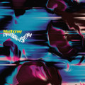LPMudhoney / Plastic Eternity / Vinyl