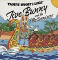 LPJive Bunny & The Mastermixers / Thats What I Like / Vinyl