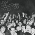LPGallagher Liam / C'mon You Know / Clear / Vinyl
