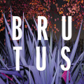 CDBrutus / Burst