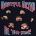 LPGrateful Dead / In The Dark / Vinyl