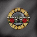 2LPGuns N'Roses / Greatest Hits / Vinyl / 2LP