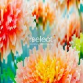 2CDVarious / Global Underground:Sellect #5 / 2CD