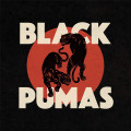 LPBlack Pumas / Black Pumas / Vinyl / Coloured