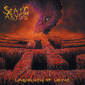 CDStatic Abyss / Labyrinth Of Veins