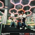 LPBlossoms / Foolish Loving Spaces / Vinyl