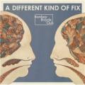 CDBombay Bicycle Club / Different Kind Of Fix