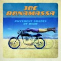 CDBonamassa Joe / Different Shades Of Blue