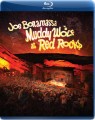 Blu-RayBonamassa Joe / Muddy Wolf At Red Rocks / Blu-Ray