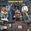 LPWho / Who Are You / Vinyl