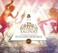 2CDVarious / Pure Salinas No.6 / By DJ Zappi From Ibiza / 2CD