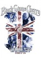 DVDBlack Stone Cherry / Livin'Live / Birmingham UK
