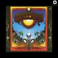 LPGrateful Dead / Aoxomoxoa / Vinyl