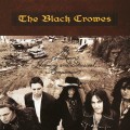2LPBlack Crowes / Southern Harmony And Musical Companion / Vinyl