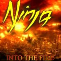 CDNinja / Into The Fire