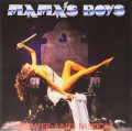 LPMama's Boys / Power And Passion / Vinyl