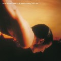 CDPorcupine Tree / On The Sunday Of Life... / Reedice / Digipack