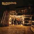 CDBlossoms / Blossoms / Digisleeve