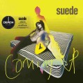 LPSuede / Coming Up / Vinyl
