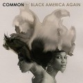 CDCommon / Black America Again