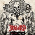 LPBenighted / Necrobreed / Vinyl