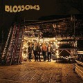 2LPBlossoms / Blossoms / Vinyl / 2LP