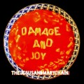 LPJesus & Mary Chain / Damage and Joy / Vinyl