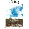 CDCeolbeg / Seeds To The Wind