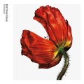3CDPet Shop Boys / Release:Further Listening 2001-2004 / 3CD