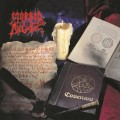 LPMorbid Angel / Covenant / Remaster / FDR / Vinyl