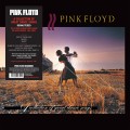 LPPink Floyd / A Collection Of Great Dance Songs / Vinyl
