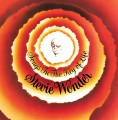 LPWonder Stevie / Songs In The Key Of Life / Vinyl
