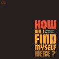 LPDream Syndicate / How Did I Find Myself Here / Vinyl