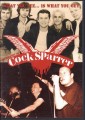 2DVDCock Sparrer / What You See Is What You Get / 2DVD
