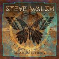 CDWalsh Steve / Black Butterfly