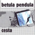 CDBetula Pendula / Cesta