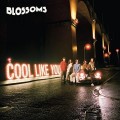 LPBlossoms / Cool Like You / Vinyl