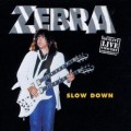 CDZebra / Slow Down / Live